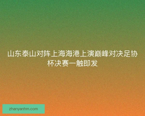 山东泰山对阵上海海港上演巅峰对决足协杯决赛一触即发